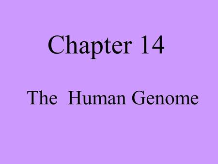 Chapter 14 The Human Genome.