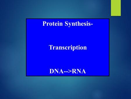 Protein Synthesis- Transcription DNA-->RNA. Expression of Gene or Protein Synthesis I. Transcription A. Initiation B. Elongation C. Termination D. RNA.