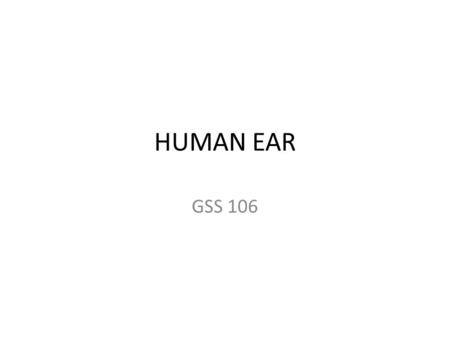 HUMAN EAR GSS 106. The Human Ear Quiz: A student guitarist plays a chord on his electric guitar. When he mutes the strings he notices that his acoustic.