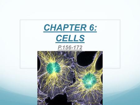 CHAPTER 6: CELLS P.156-172. THE CELL THEORY DETERMINED FROM USING BOTH THE LIGHT AND ELECTRON MICROSCOPES 1. CELLS ARE THE BASIC UNITS OF STRUCTURE AND.