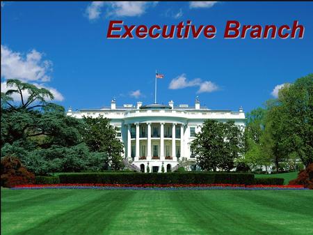 Executive Branch. Executive Office President President Vice-President Vice-President President's Cabinet - Sec. of State, Education, Energy, etc. President's.