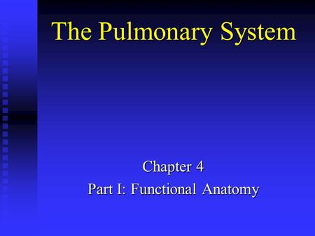 The Pulmonary System Chapter 4 Part I: Functional Anatomy.