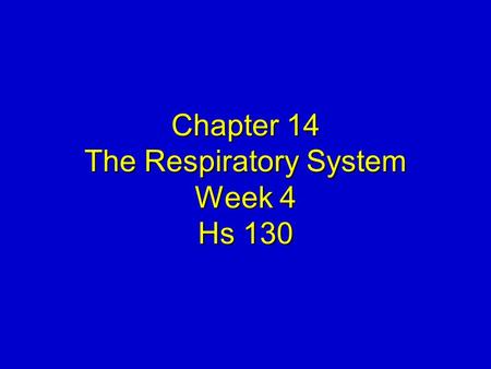 Chapter 14 The Respiratory System Week 4 Hs 130