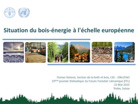 Situation du bois-énergie à l'échelle européenne Florian Steierer, Section de la forêt et bois, CEE - ONU/FAO 19 ème journée thématique du Forum Forestier.