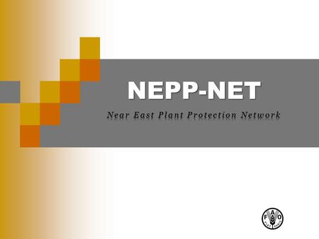 NEPP-NET. 2 NEPP-NET Interfaces  Frontend Interface The frontend components provide the information retrieval/browsing functionalities, and are available.