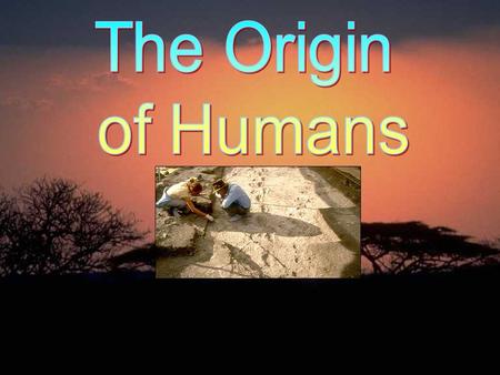 Theories on prehistory and early man constantly change as new evidence comes to light. - Louis Leakey, British paleoanthropologist.