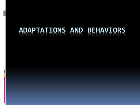 Surviving in an Ecosystem  Organisms could not survive unless they were adapted to the conditions of their surroundings.adapted  In order to meet their.