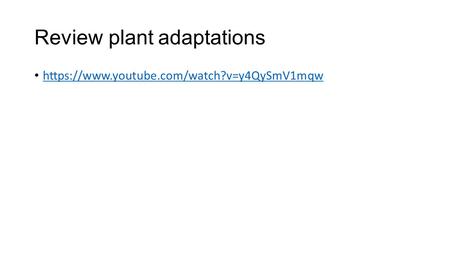 Review plant adaptations