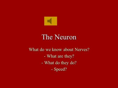 The Neuron What do we know about Nerves? - What are they? - What do they do? - Speed?