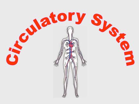 Circulatory System Consists of… Blood Vessels Blood Heart.