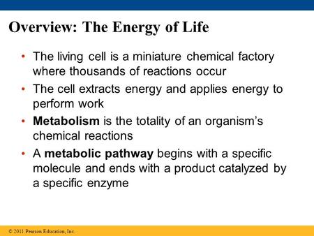 Overview: The Energy of Life The living cell is a miniature chemical factory where thousands of reactions occur The cell extracts energy and applies energy.