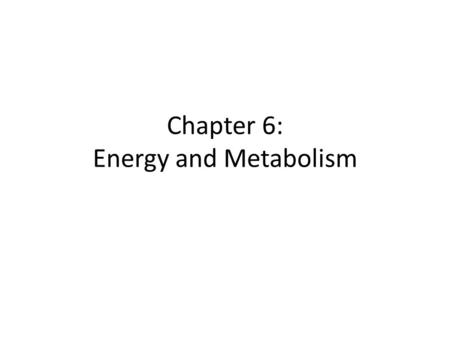 Chapter 6: Energy and Metabolism. Biological Work Requires Energy Remember to study the terms Energy Concepts Video.