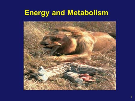 1 Energy and Metabolism. 2 The Energy of Life The living cell generates thousands of different reactions Metabolism Is the totality of an organism’s chemical.