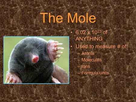 The Mole 6.02 x 10 23 of ANYTHING Used to measure # of: –Atoms –Molecules –Ions –Formula units.