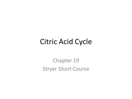 Citric Acid Cycle Chapter 19 Stryer Short Course.