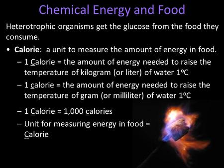 Heterotrophic organisms get the glucose from the food they consume. Calorie: a unit to measure the amount of energy in food. –1 Calorie = the amount of.