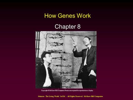 Johnson - The Living World: 3rd Ed. - All Rights Reserved - McGraw Hill Companies How Genes Work Chapter 8 Copyright © McGraw-Hill Companies Permission.