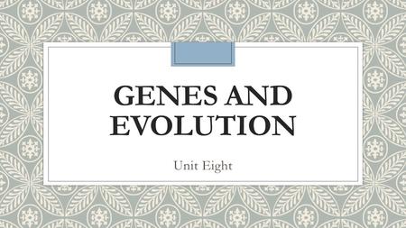 GENES AND EVOLUTION Unit Eight. Principles of Evolution 1)Genetic variety ◦DNA mutations-adds new phenotypes to a population ◦Genetic recombination (crossing.