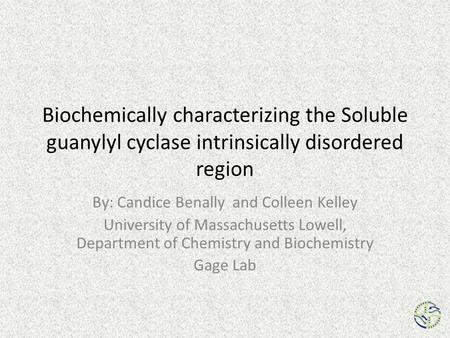 Biochemically characterizing the Soluble guanylyl cyclase intrinsically disordered region By: Candice Benally and Colleen Kelley University of Massachusetts.