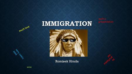 IMMIGRATION Romísek Hruda much love such a presentation very comic sans so professio nal wow.