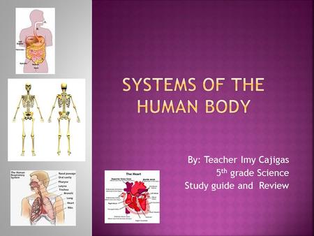 By: Teacher Imy Cajigas 5 th grade Science Study guide and Review.