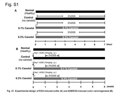 Fig. S1 Fig. S1. Experimental design of DSS-induced colitis (A) and AOM/DSS-induced colon carcinogenesis (B).