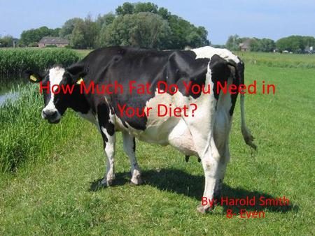 How Much Fat Do You Need in Your Diet? By: Harold Smith 8- Even.