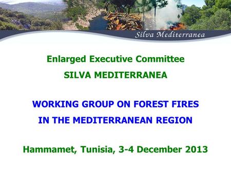 WORKING GROUP ON FOREST FIRES IN THE MEDITERRANEAN REGION Enlarged Executive Committee SILVA MEDITERRANEA Hammamet, Tunisia, 3-4 December 2013.