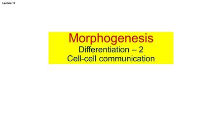 Morphogenesis Differentiation – 2 Cell-cell communication Lecture 10.