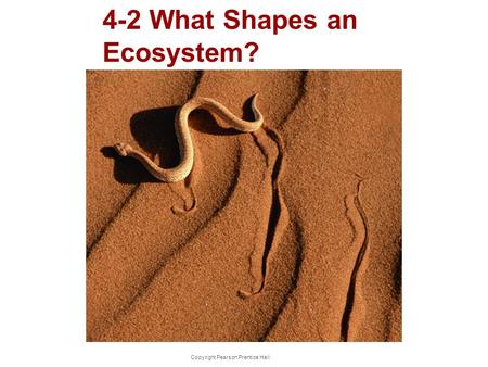 Copyright Pearson Prentice Hall 4-2 What Shapes an Ecosystem?