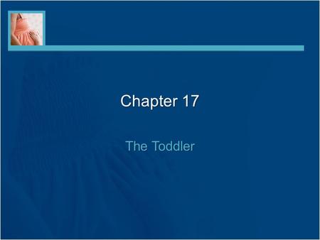 Chapter 17 The Toddler.