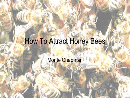 How To Attract Honey Bees Monte Chapman Materials You will need Flowers and Outdoor Space You could also use Honey Combs.