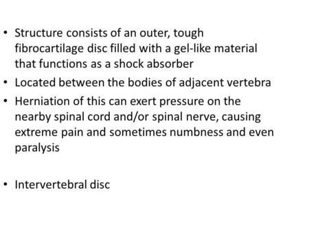 Structure consists of an outer, tough fibrocartilage disc filled with a gel-like material that functions as a shock absorber Located between the bodies.