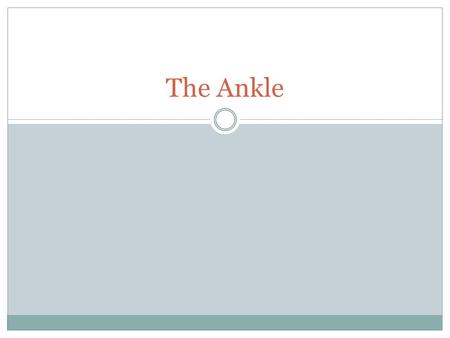 The Ankle. Bones Tibia Fibula Talus Movements Dorsal Flexion- most stable position Plantar Flexion- Most unstable Eversion Inversion.