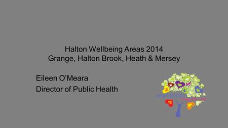 Halton Wellbeing Areas 2014 Grange, Halton Brook, Heath & Mersey Eileen O’Meara Director of Public Health.