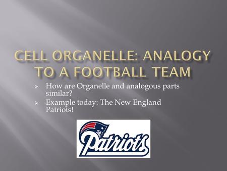  How are Organelle and analogous parts similar?  Example today: The New England Patriots!