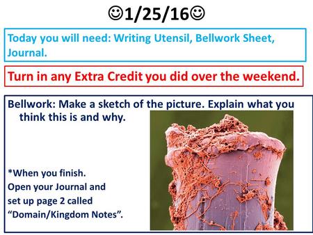 Today you will need: Writing Utensil, Bellwork Sheet, Journal. Bellwork: Make a sketch of the picture. Explain what you think this is and why. *When you.