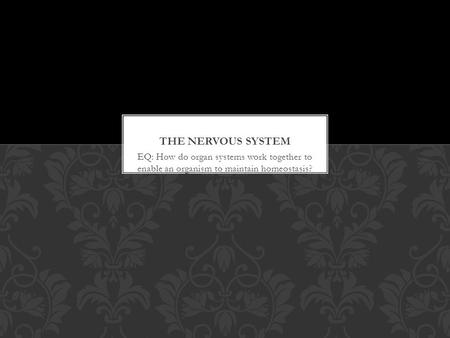 EQ: How do organ systems work together to enable an organism to maintain homeostasis?