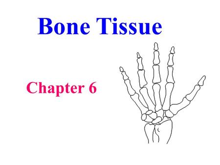 Bone Tissue Chapter 6. Functions of Bone Support - surrounding tissue Protect - vital organs and other tissues Movement - attachment for muscles Mineral.