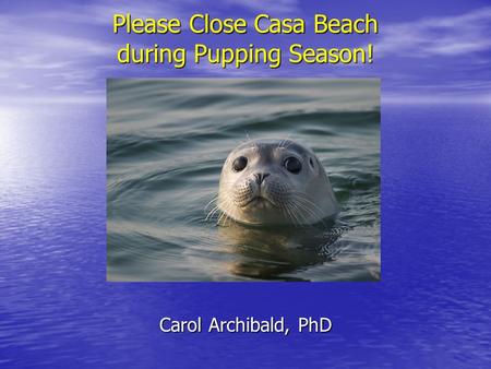 Please Close Casa Beach during Pupping Season! Carol Archibald, PhD.