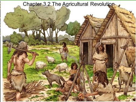 Chapter 3.2 The Agricultural Revolution. Early farmers.