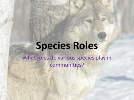 Species Roles What roles do various species play in communities?