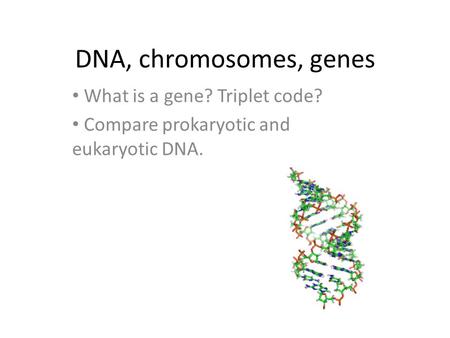 DNA, chromosomes, genes What is a gene? Triplet code? Compare prokaryotic and eukaryotic DNA.