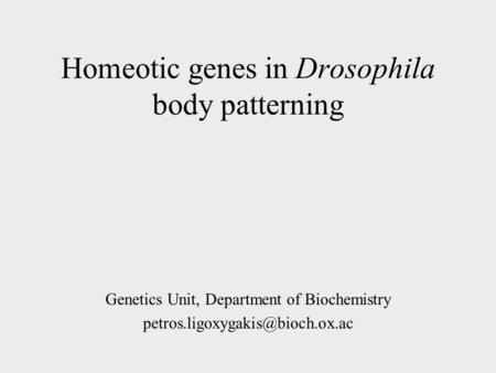 Homeotic genes in Drosophila body patterning Genetics Unit, Department of Biochemistry