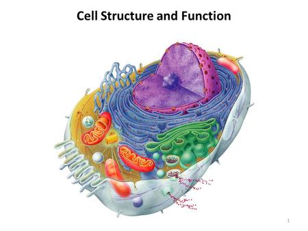 Cell Structure and Function 1. Introduction 1.The cell is the structural and functional unit of all living organisms. 2.All human cells originate from.