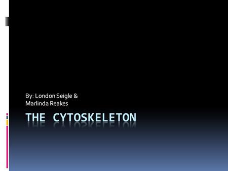 By: London Seigle & Marlinda Reakes. Structure of Cytoskeleton  Long, twisted strands (criss-crossing)  A cellular, scaffolding structure  Found within.