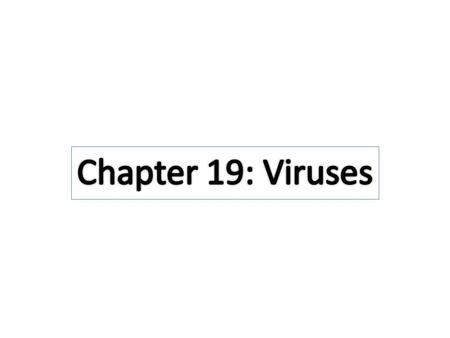 Viruses In 2009, a general outbreak (epidemic) of a flu- like illness first appeared in Mexico and the United States – Caused by an influenza virus H1N1.