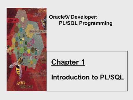 Oracle9i Developer: PL/SQL Programming Chapter 1 Introduction to PL/SQL.