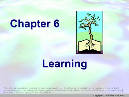 Copyright © Allyn and Bacon 2006 1 Chapter 6 Learning This multimedia product and its contents are protected under copyright law. The following are prohibited.