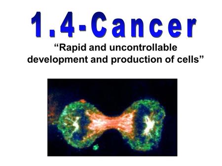 “Rapid and uncontrollable development and production of cells”